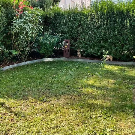 Centrally Located In The Rhine-main Area Apartment