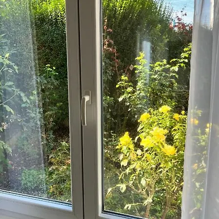 Apartment Centrally Located In The Rhine-main Area